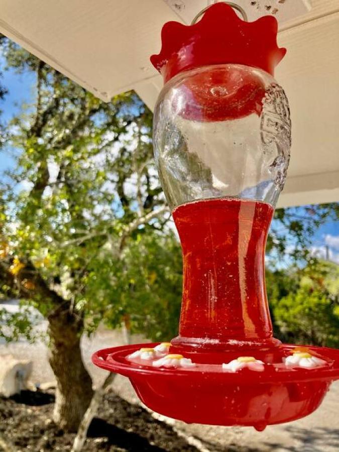 Hummingbird Haus - Hill Country Views On 20 Acres With Firepit Villa Spring Branch Exteriör bild